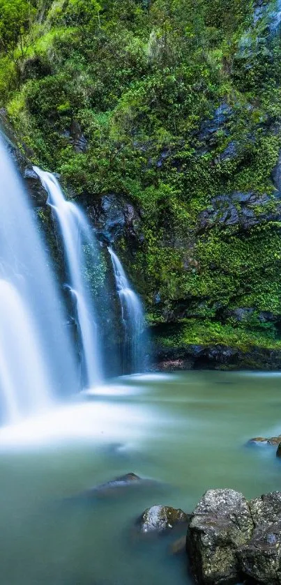 Mobile wallpaper of a serene waterfall surrounded by lush greenery.