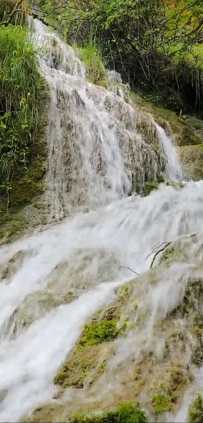 Serene waterfall with moss-covered rocks and lush greenery.