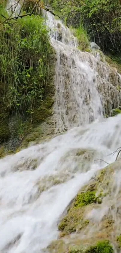 Tranquil green waterfall with lush surroundings, perfect for mobile wallpaper.