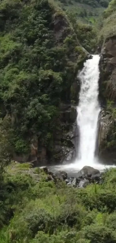 A serene waterfall amidst lush greenery perfect for a calming phone wallpaper.