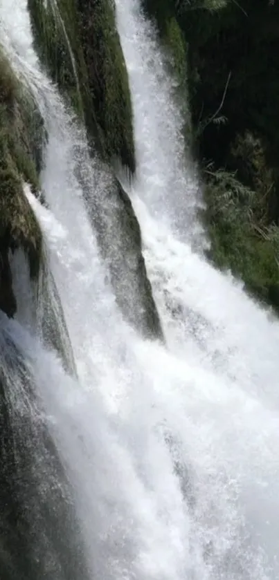 Serene waterfall cascading through lush green surroundings.