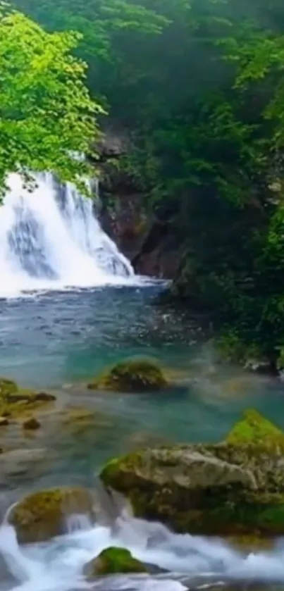 Calm waterfall with lush greenery in background.