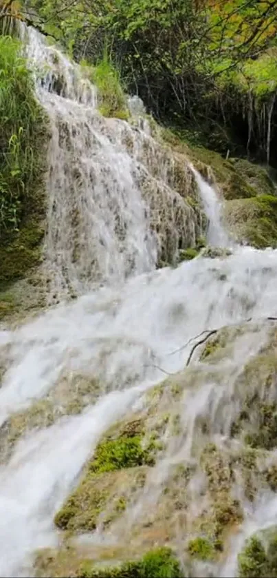 Serene waterfall with lush greenery in a natural setting.