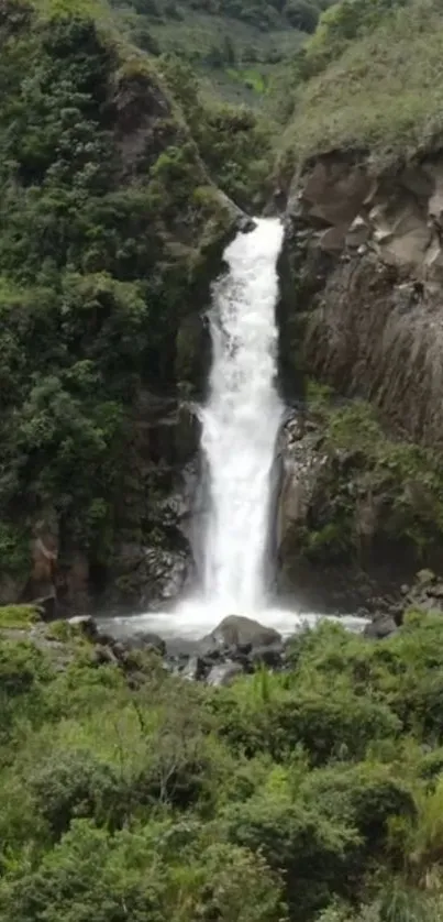 Stunning waterfall surrounded by lush greenery in a calming nature scene.