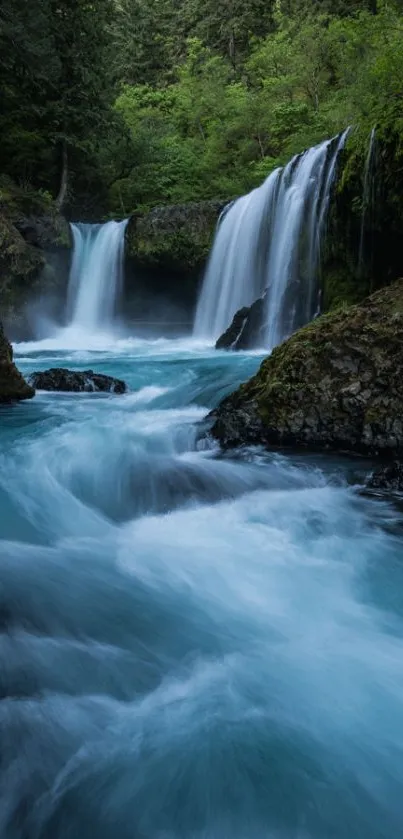 Serene waterfall in lush forest scenery.