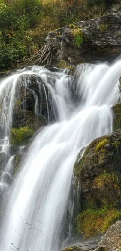 Serene waterfall with lush greenery in a peaceful natural setting.