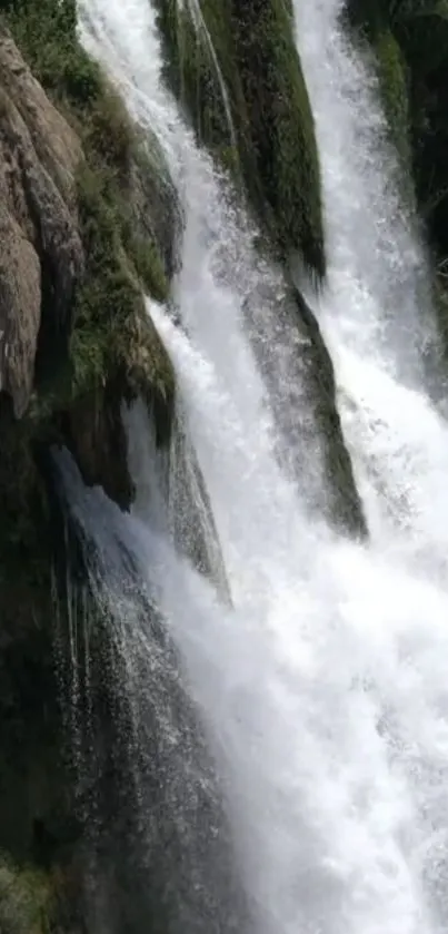 Cascading waterfall in lush greenery with rocky cliff.