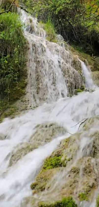 Serene wallpaper featuring a lush, cascading waterfall surrounded by greenery.