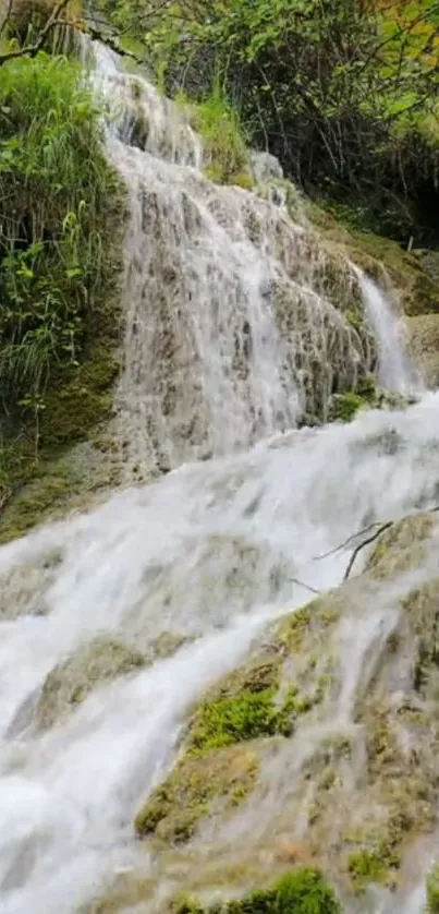 Serene waterfall cascading over mossy rocks in a lush, green forest setting.