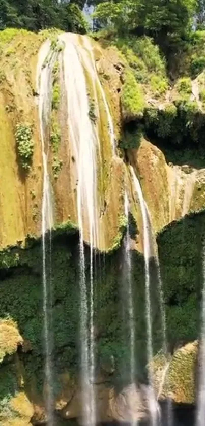 Lush green waterfall cascading down rocks.