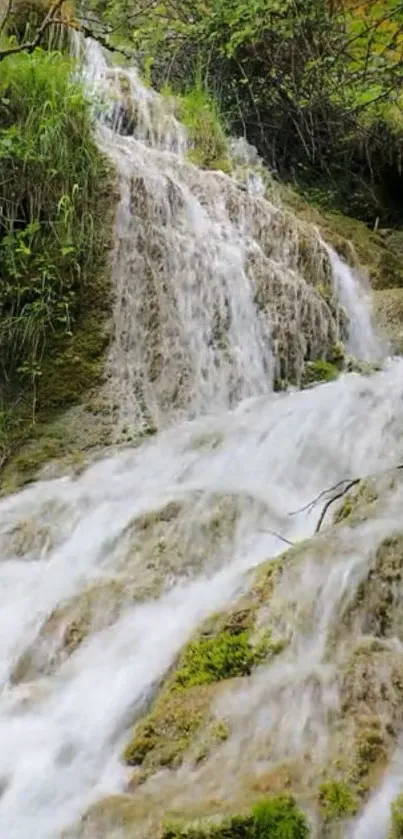 Tranquil waterfall cascading over mossy rocks in a serene forest setting.