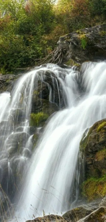 Mobile wallpaper of a tranquil waterfall with lush greenery.