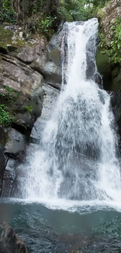 Mobile wallpaper with a waterfall flowing in a lush green forest setting.