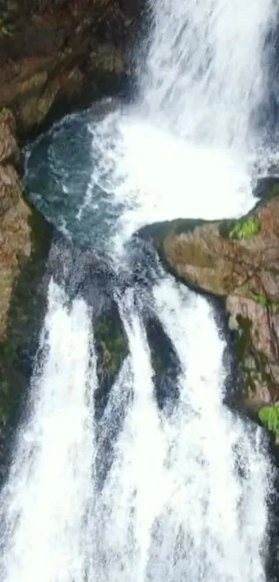 Cascading waterfall in lush green forest setting.