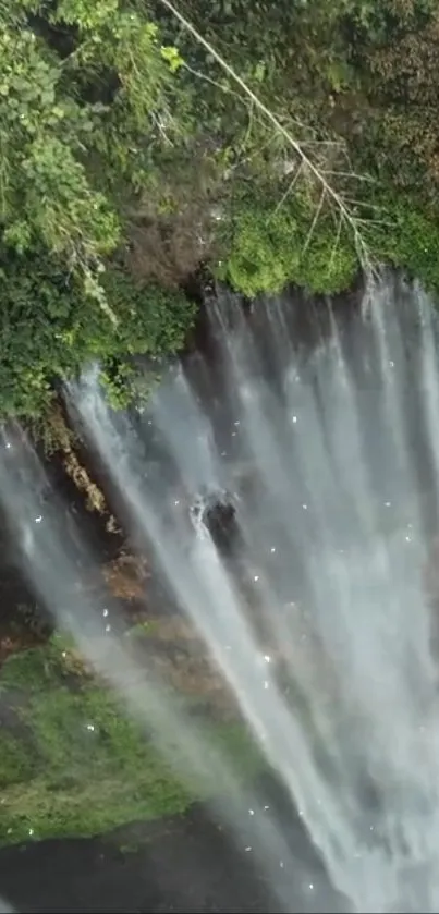 Serene nature wallpaper with a waterfall and lush greenery.