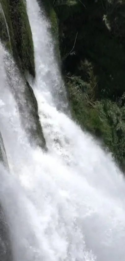 Cascading waterfall amidst lush greenery, creating a serene natural scene.