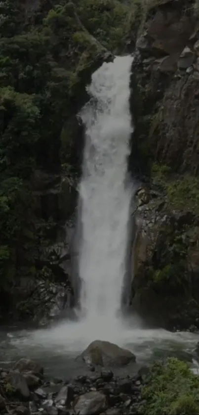 Waterfall surrounded by lush greenery, perfect for a calming phone background.