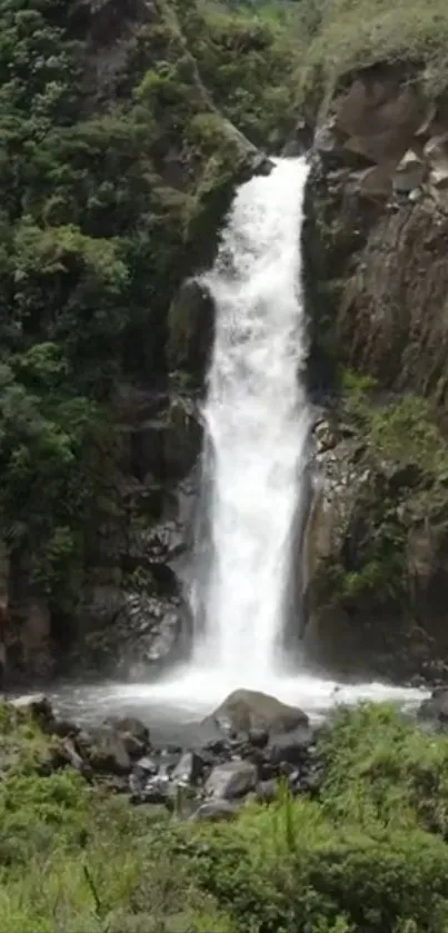 Waterfall surrounded by lush greenery in a tranquil setting.