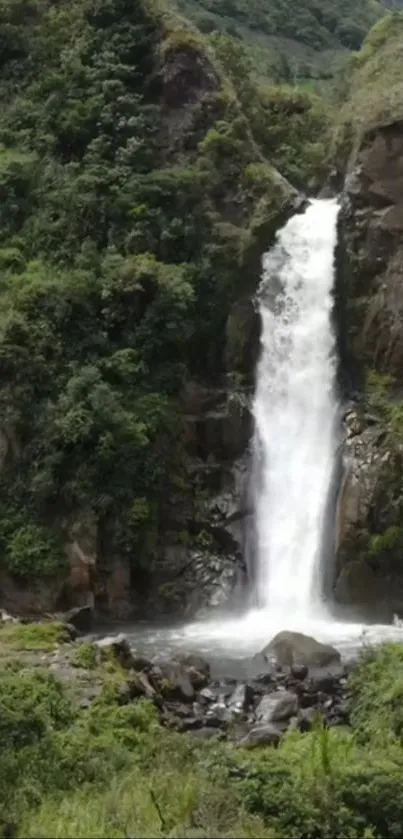 Serene waterfall surrounded by lush green forest.