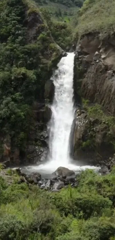 A serene waterfall amidst lush green forest in a mobile phone wallpaper.