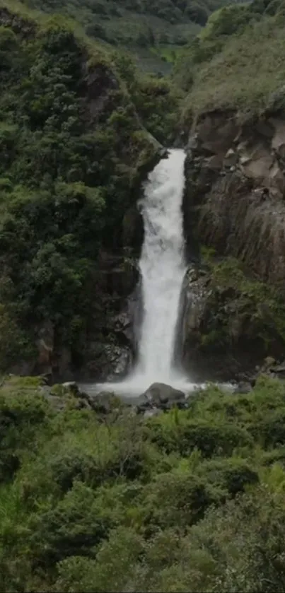 A lush green landscape with a flowing waterfall.