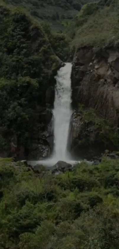 Serene waterfall surrounded by lush greenery in a natural landscape.