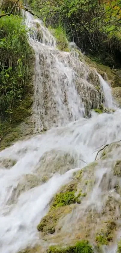 Waterfall cascading over mossy rocks in serene landscape.