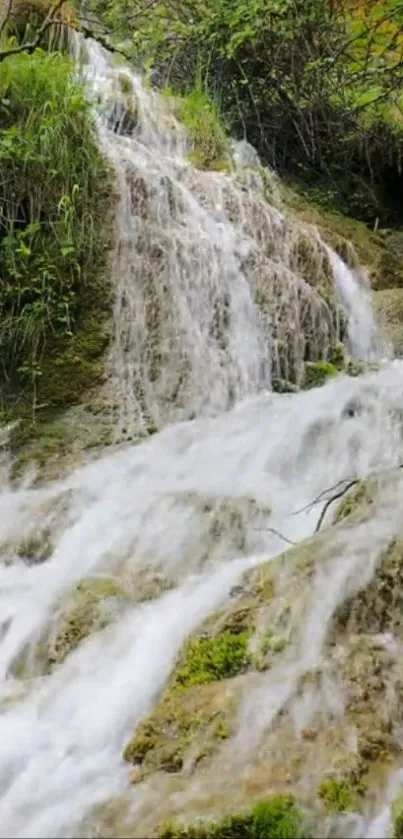 Calming waterfall amidst lush greenery on a nature wallpaper.