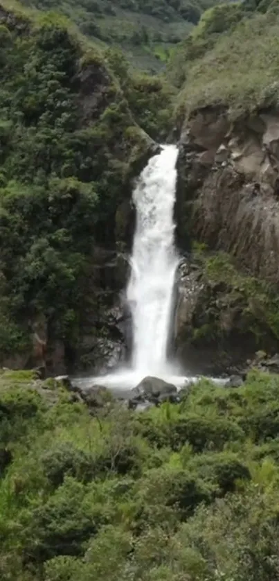 Waterfall cascading in lush green forest landscape.