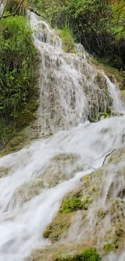 A serene waterfall cascading over mossy rocks.