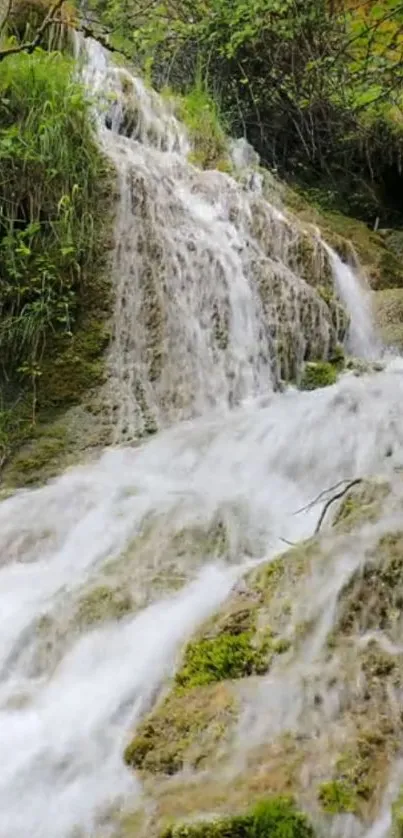 A serene waterfall amidst lush greenery