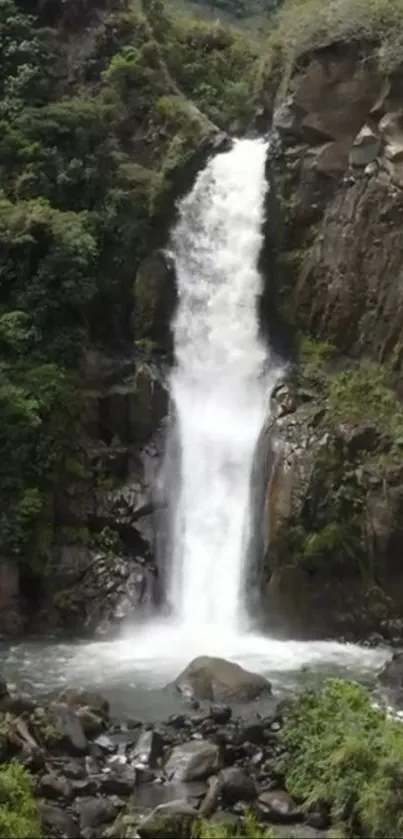 Serene waterfall with lush greenery in nature.