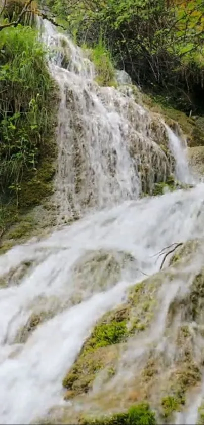 Lush waterfall cascading over rocks surrounded by green foliage.