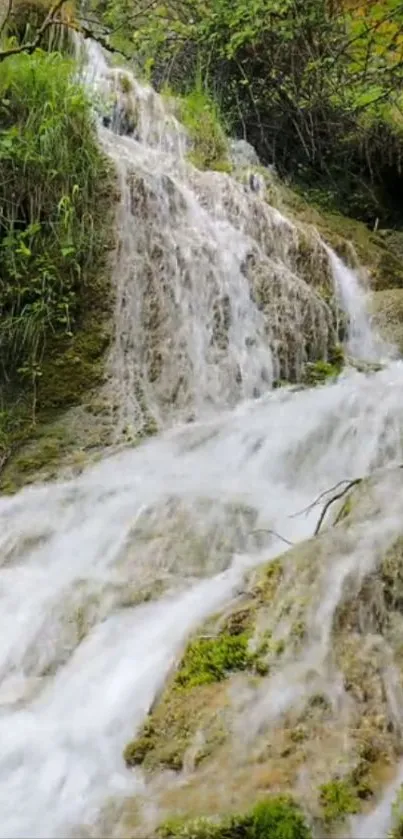 Serene waterfall cascading through lush greenery.