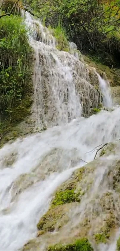 Beautiful waterfall flowing over mossy rocks in a lush green setting.