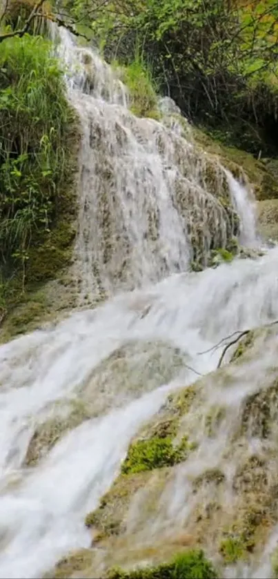 Beautiful waterfall cascading over rocks in a verdant forest setting.