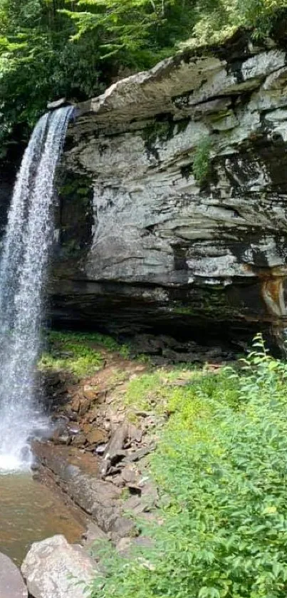 A serene waterfall cascading in a lush forest setting.