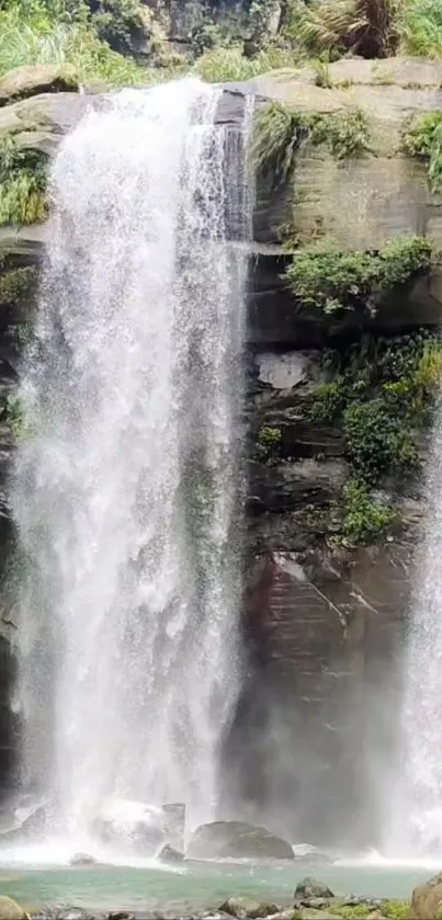 Serene waterfall surrounded by lush greenery mobile wallpaper.