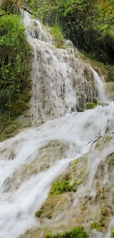 Serene waterfall cascading over rocks surrounded by lush greenery.