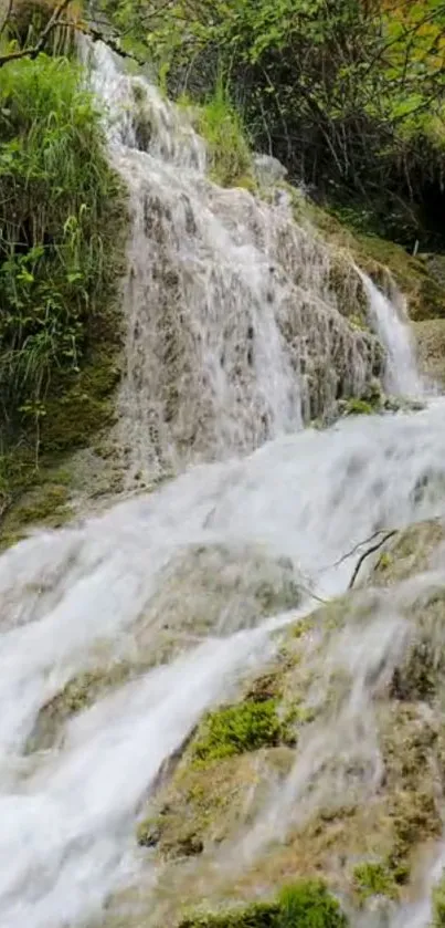 Scenic waterfall cascading over moss-covered rocks in a tranquil forest setting.