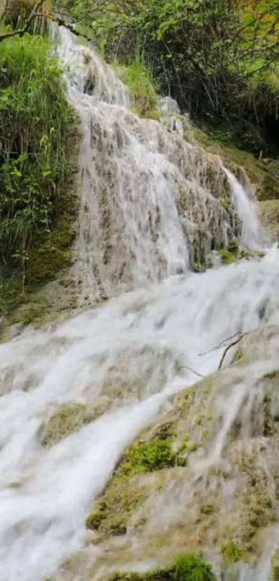 Beautiful waterfall cascading over rocks surrounded by lush greenery.