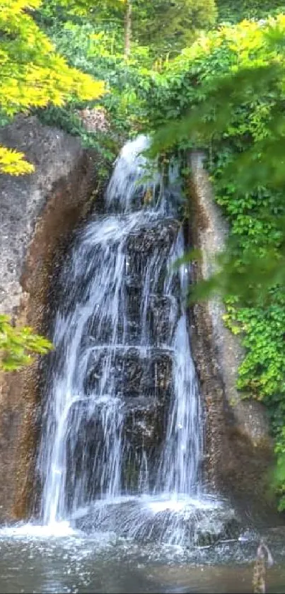 Serene waterfall surrounded by lush green foliage