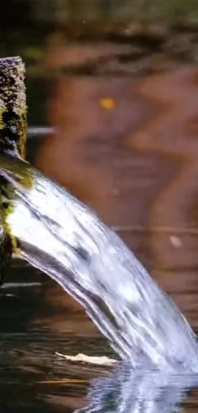 Calm waterfall cascading over mossy stone into a reflective pool.