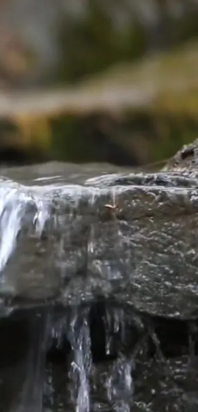 Serene waterfall over rocky surface in nature.