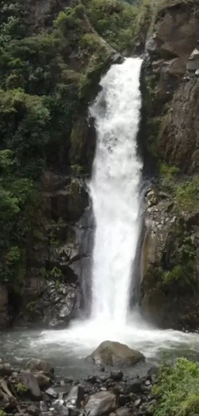 Serene waterfall amidst lush greenery background.