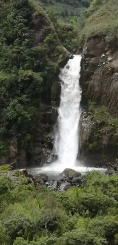 Serene waterfall amidst lush greenery, perfect for a calming phone background.