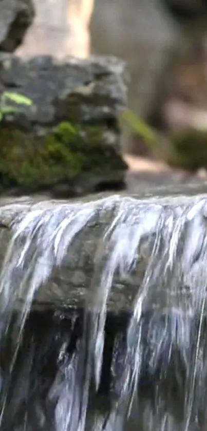 Serene waterfall with mossy rocks in sunlight.