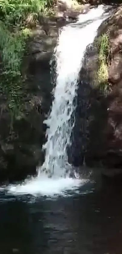 Serene waterfall cascading in a lush forest setting.