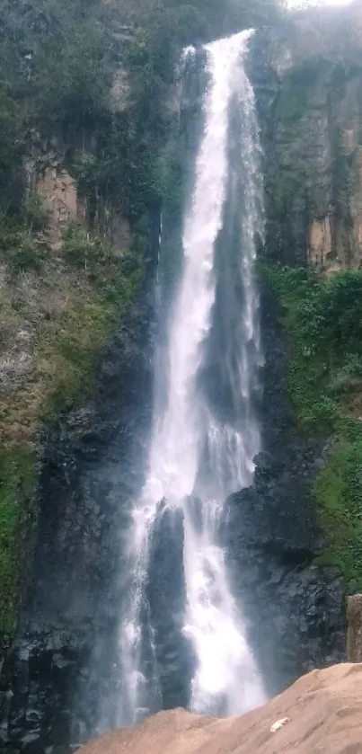 Serene waterfall flowing in a lush green landscape.