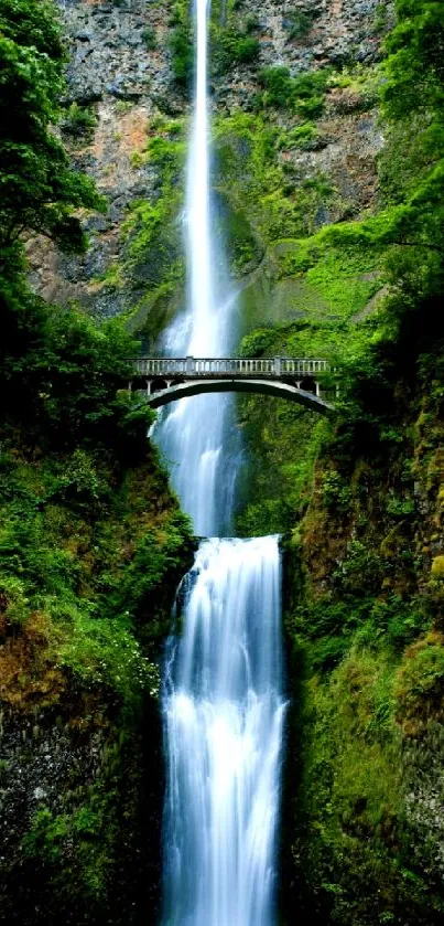 A stunning waterfall with a scenic bridge surrounded by lush greenery.